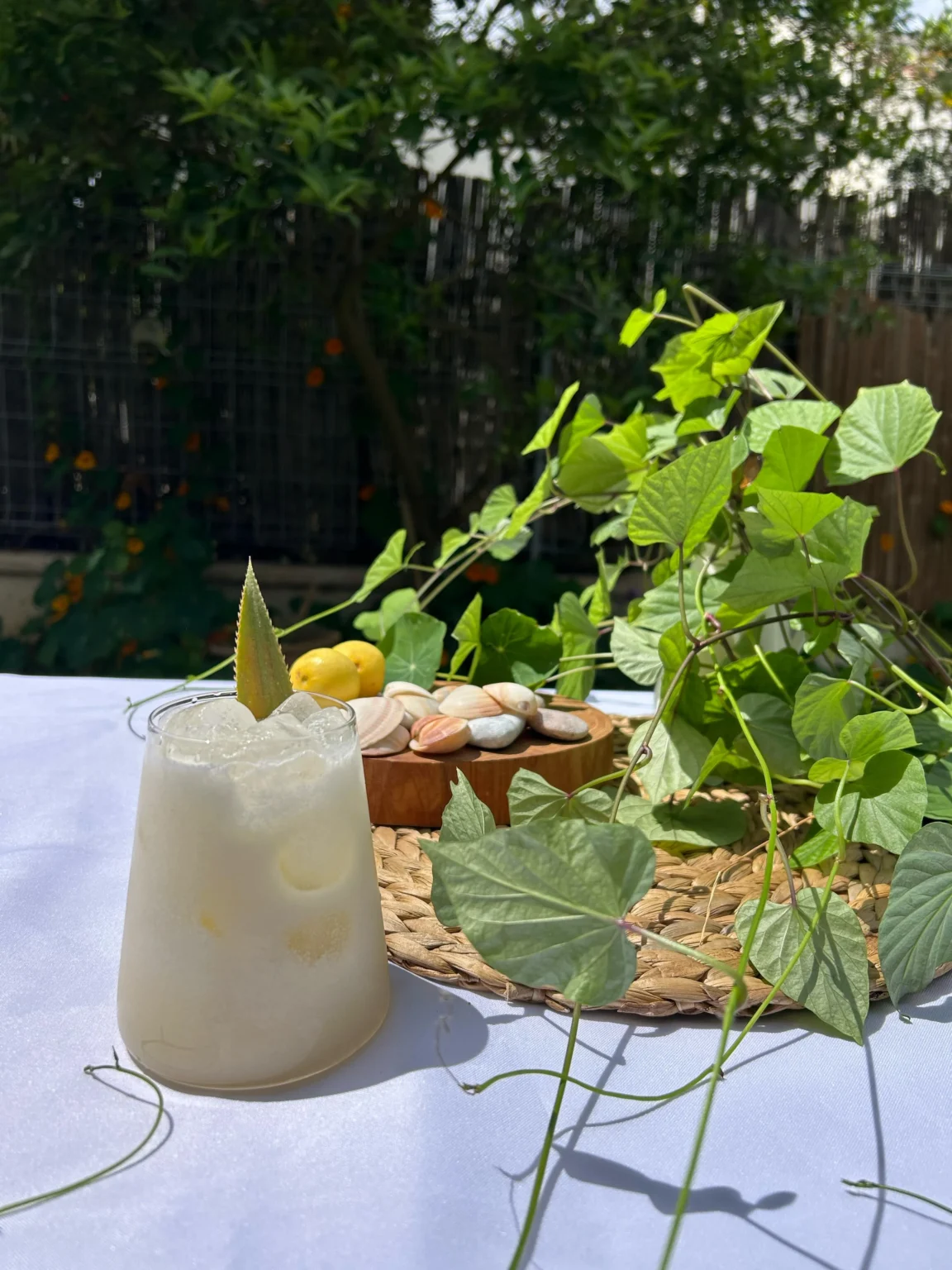 Pina Colada
