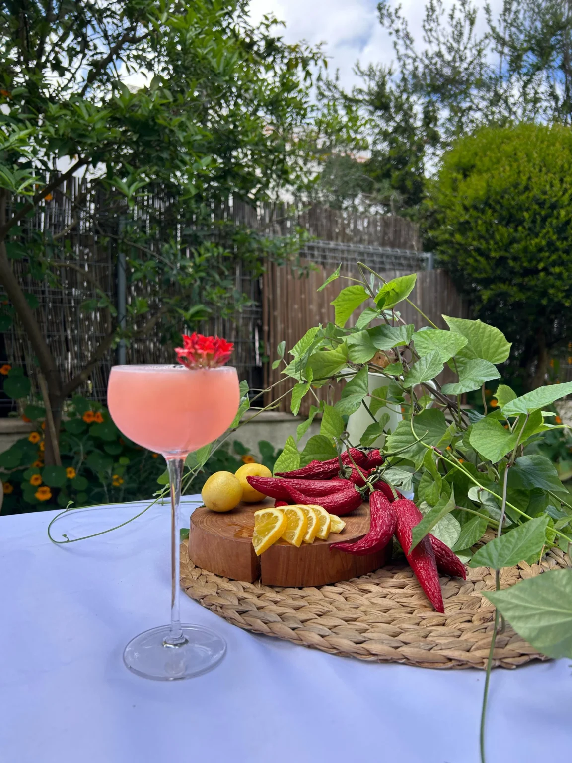 Watermelon Breeze